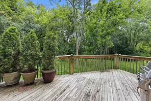 1018 Park Ave, Wauconda, IL 60084 - Photo 29