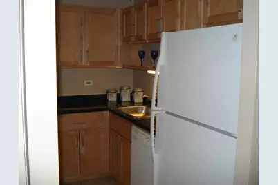 211 E Ohio Street #2218, Chicago, IL 60611 - Photo 5