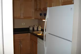 211 E Ohio St, Chicago, IL 60611 - Photo 5