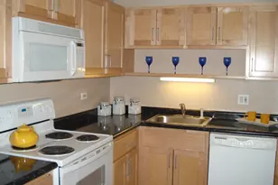 211 E Ohio St, Chicago, IL 60611 - Photo 3