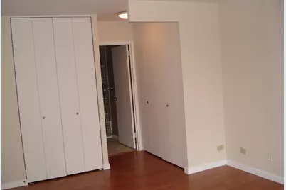 211 E Ohio Street #2218, Chicago, IL 60611 - Photo 7