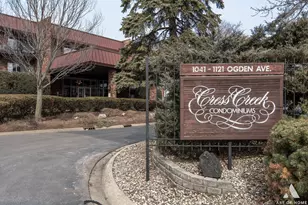 1049 W Ogden Ave, Naperville, IL 60563 - Photo 29