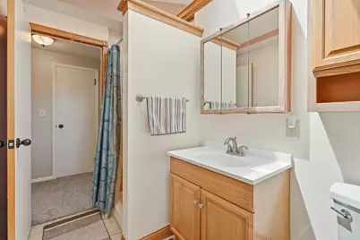 513 N West Street, Peotone, IL 60468 - Photo 19