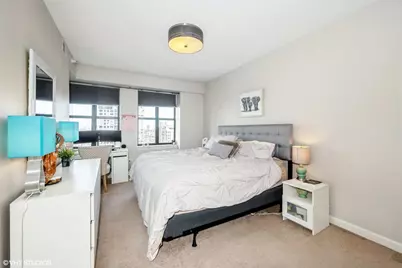 451 W Huron Street #1003, Chicago, IL 60654 - Photo 11