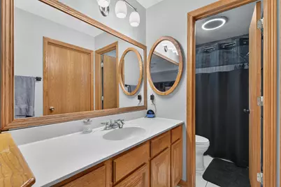 442 W Anndon Drive, Braidwood, IL 60408 - Photo 19