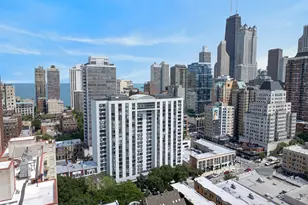 1221 N Dearborn St, Chicago, IL 60610 - Photo 19