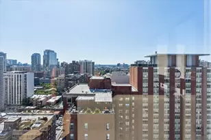 1300 N Astor St, Chicago, IL 60610 - Photo 19
