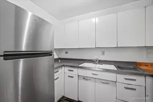 910 N Lake Shore Dr, Chicago, IL 60611 - Photo 11