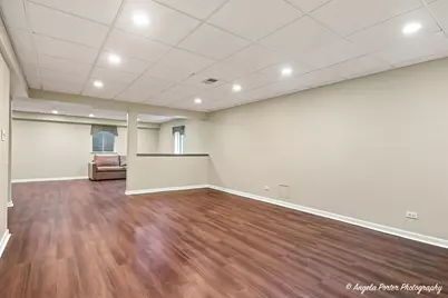 17452 W Meadowbrook Drive, Grayslake, IL 60030 - Photo 33