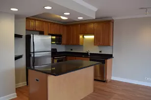 1360 N Sandburg Terrace, Chicago, IL 60610 - Photo 7