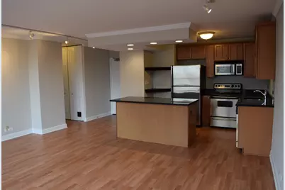 1360 N Sandburg Terrace #410, Chicago, IL 60610 - Photo 11