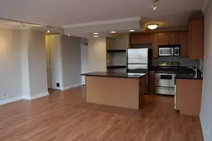 1360 N Sandburg Terrace, Chicago, IL 60610 - Photo 11