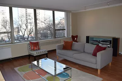 1360 N Sandburg Terrace #410, Chicago, IL 60610 - Photo 5