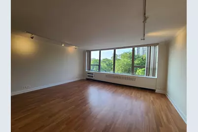 1360 N Sandburg Terrace #410, Chicago, IL 60610 - Photo 3