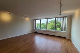 1360 N Sandburg Terrace, Chicago, IL 60610 - Photo 3