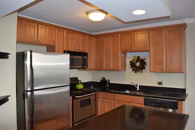 1360 N Sandburg Terrace #410, Chicago, IL 60610 - Photo 9