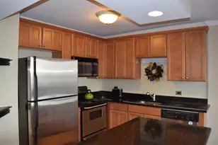 1360 N Sandburg Terrace, Chicago, IL 60610 - Photo 9