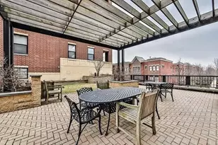 833 W 15th Pl, Chicago, IL 60608 - Photo 13