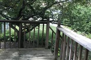 1748 Orchard St, Des Plaines, IL 60018 - Photo 9