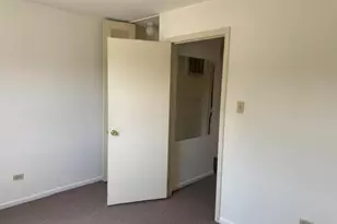 20115 Woodale St, Lynwood, IL 60411 - Photo 11