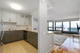 30 E Huron St, Chicago, IL 60611 - Photo 3