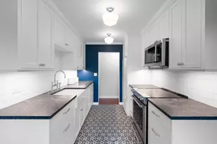 1503 Oak Ave, Evanston, IL 60201 - Photo 9
