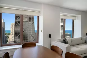161 E Chicago Ave, Chicago, IL 60611 - Photo 5