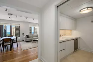 161 E Chicago Ave, Chicago, IL 60611 - Photo 9