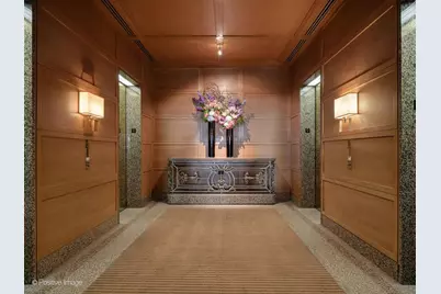 161 E Chicago Avenue #26G, Chicago, IL 60611 - Photo 19