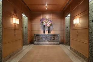 161 E Chicago Ave, Chicago, IL 60611 - Photo 19