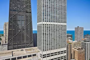 161 E Chicago Ave, Chicago, IL 60611 - Photo 17