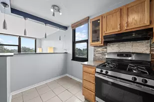2901 S Michigan Ave, Chicago, IL 60616 - Photo 9