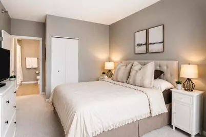 757 N Orleans Street #610, Chicago, IL 60654 - Photo 5