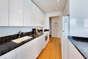 1460 N Sandburg Terrace, Chicago, IL 60610 - Photo 13