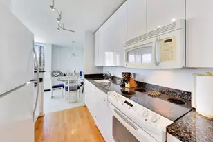 1460 N Sandburg Terrace, Chicago, IL 60610 - Photo 15