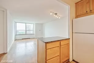720 W Gordon Terrace, Chicago, IL 60613 - Photo 5