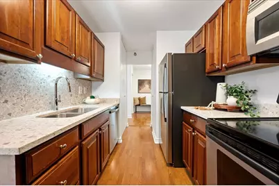 401 E Ontario Street #510, Chicago, IL 60611 - Photo 13