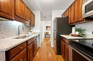 401 E Ontario St, Chicago, IL 60611 - Photo 13