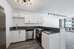 2 E Erie St, Chicago, IL 60611 - Photo 7