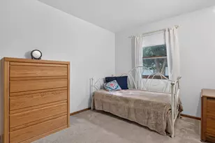 577 Elizabeth Dr, Coal City, IL 60416 - Photo 19