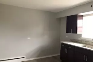 2254 W Garfield Blvd, Chicago, IL 60609 - Photo 7