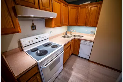 10804 S Ridgeway Avenue, Chicago, IL 60655 - Photo 19