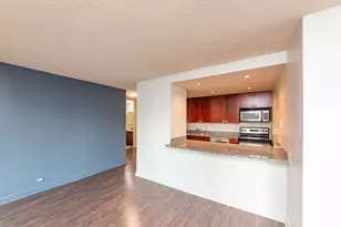 30 E Huron St, Chicago, IL 60611 - Photo 5