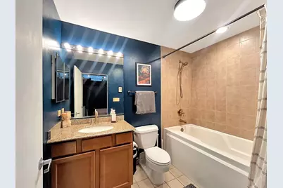 1151 W 14th Place #233, Chicago, IL 60608 - Photo 29