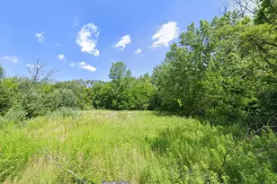 720 E 134th Pl, Chicago, IL 60827 - Photo 1