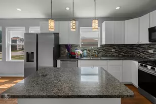 9050 S Ellis Ave, Chicago, IL 60619 - Photo 9