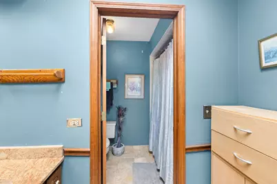 740 Cambridge Drive, Burr Ridge, IL 60527 - Photo 25