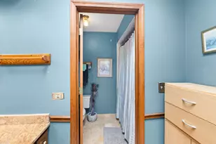 740 Cambridge Dr, Burr Ridge, IL 60527 - Photo 25