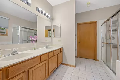 18717 Dove Avenue, Mokena, IL 60448 - Photo 11