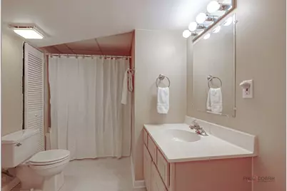 302 E Forest Knoll Drive, Palatine, IL 60074 - Photo 19